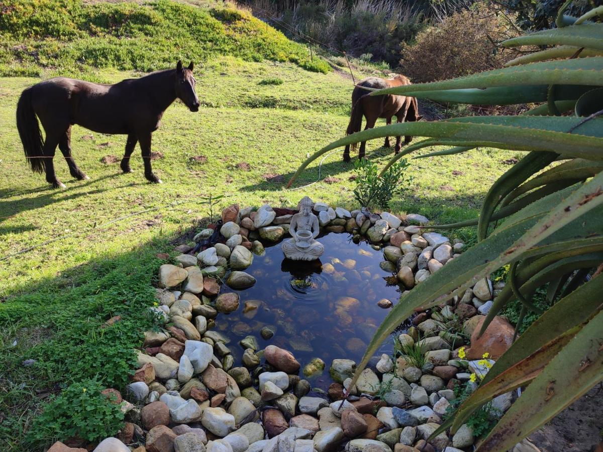 The Riverstone - Romantic Hideaway By The River - Loadshedding Free! Napier Exterior foto