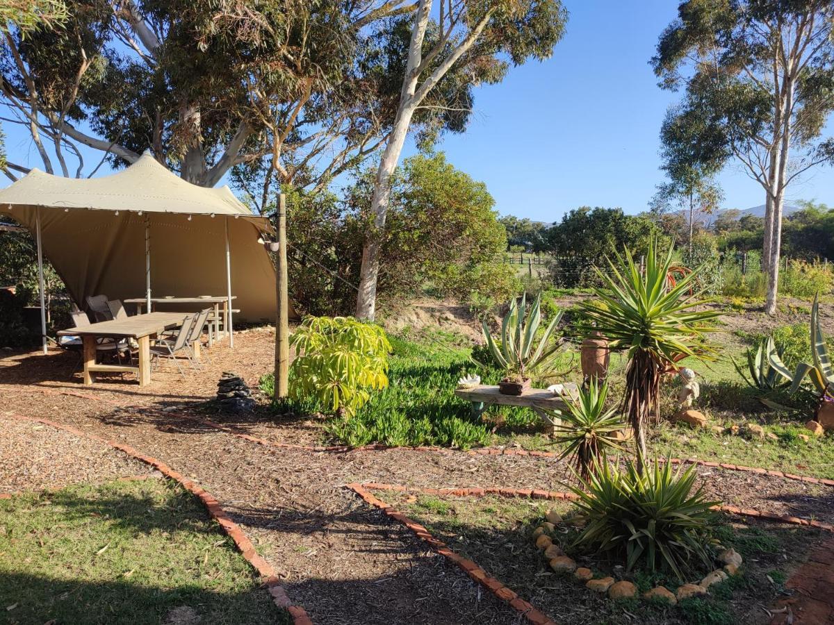 The Riverstone - Romantic Hideaway By The River - Loadshedding Free! Napier Exterior foto
