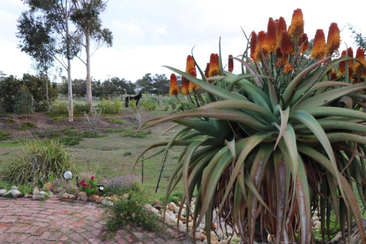 The Riverstone - Romantic Hideaway By The River - Loadshedding Free! Napier Exterior foto