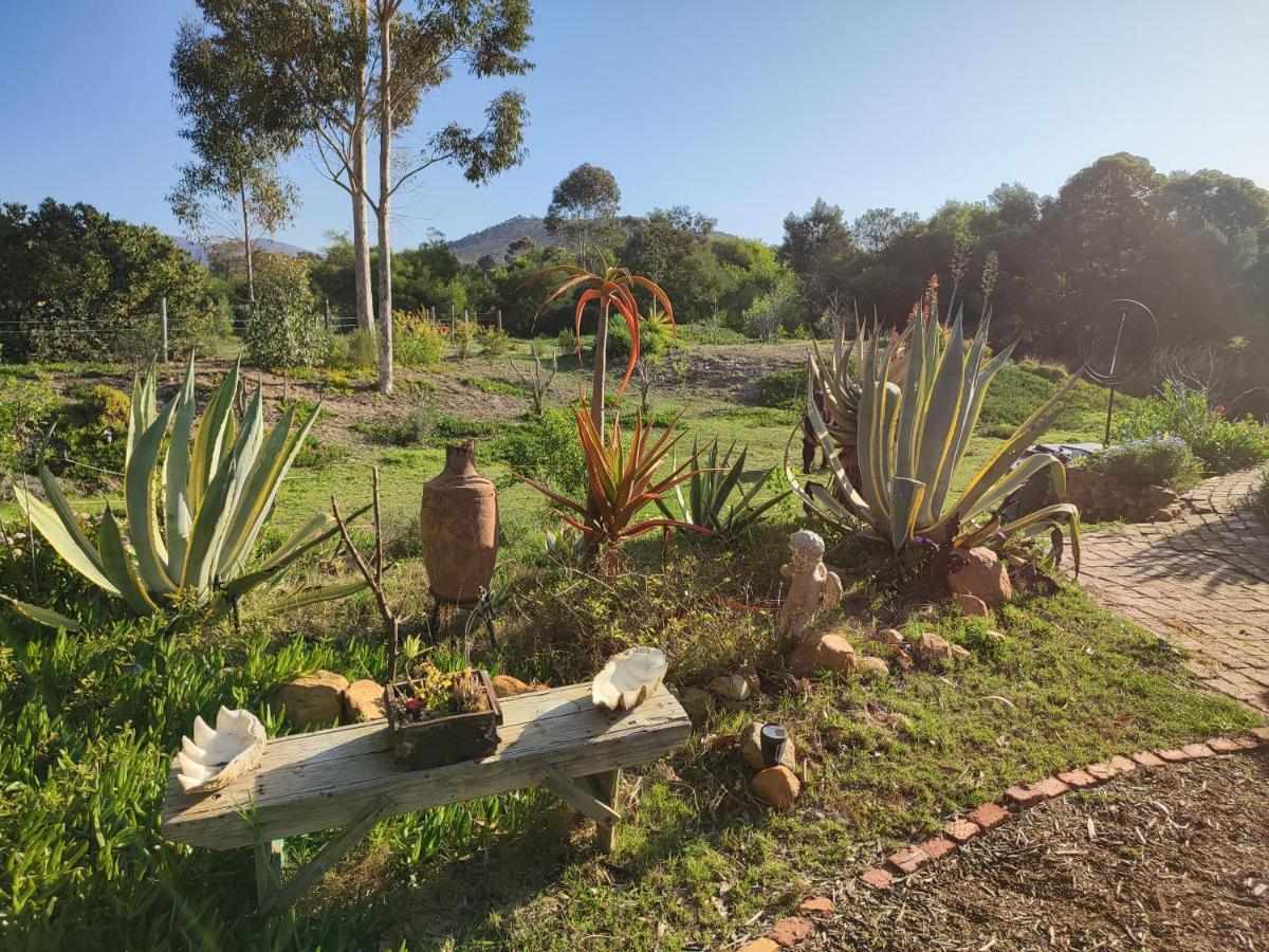 The Riverstone - Romantic Hideaway By The River - Loadshedding Free! Napier Exterior foto